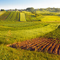 Coopératives agricoles